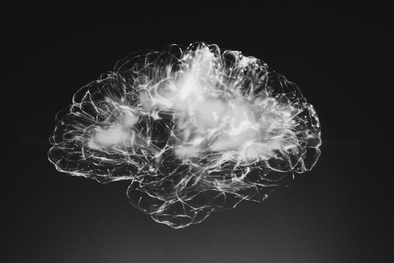Ilustración de un cerebro humano representando la liberación de dopamina y oxitocina durante celebraciones colectivas